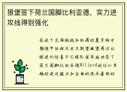 狼堡签下荷兰国脚比利亚德，实力进攻线得到强化